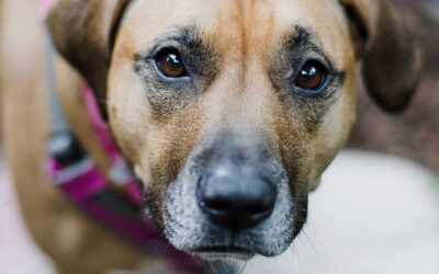 You Learn to Shrink Yourself Just to Survive’